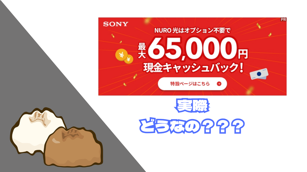 NURO光どうなの？